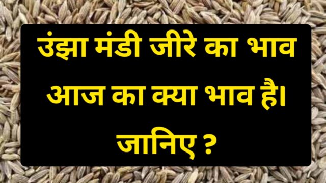 આજ ના ઊંઝા માર્કેટયાર્ડ ભાવ જોવા અહીં ક્લિક કરો, જોવો જીરા માં કેવી તેજી છે આજે.