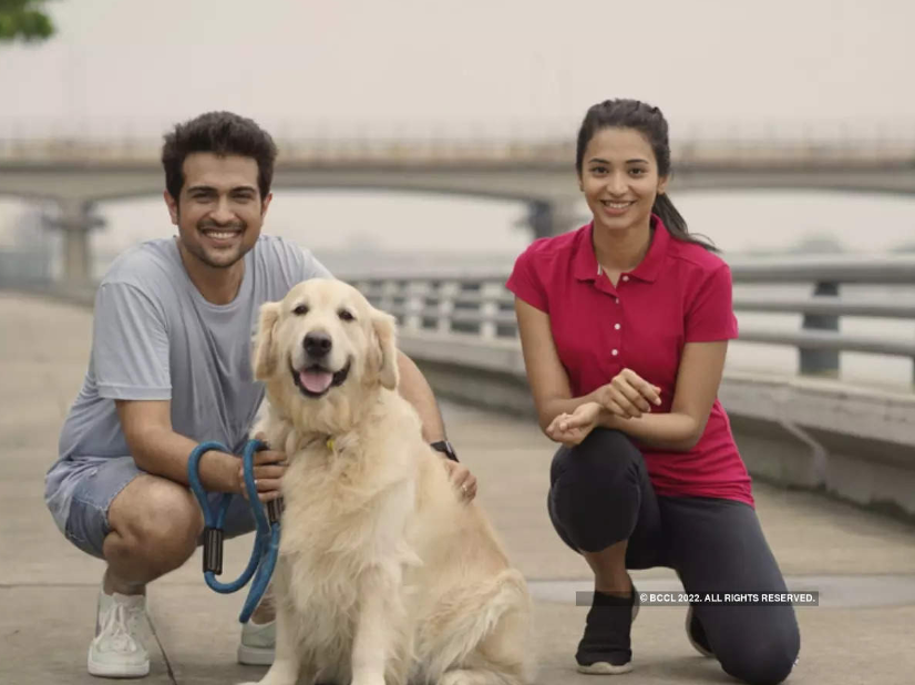 chabutro trailer, આવી ગયું ફિલ્મ 'ચબૂતરો'નું ટ્રેલર, અમેરિકા 'સેટ' થવા ગયેલા ગુજરાતીને યાદ આવ્યું અમદાવાદ - gujarati upcoming film chabutro trailer based on a modern time setup for the gujarati audience