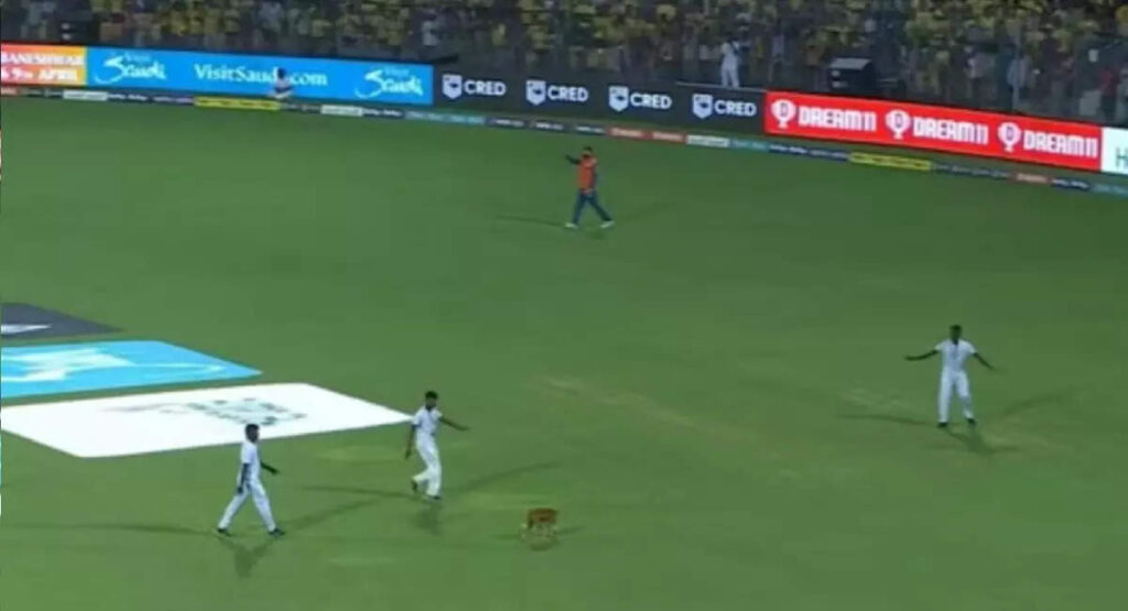 dog in cricket ground, IPL 2023: શ્વાનના કારણે મેચ મોડી શરૂ થઈ, 12 લોકો મળીને પણ પકડી ન શક્યા - ipl 2023 csk vs lsg match delayed because of dog